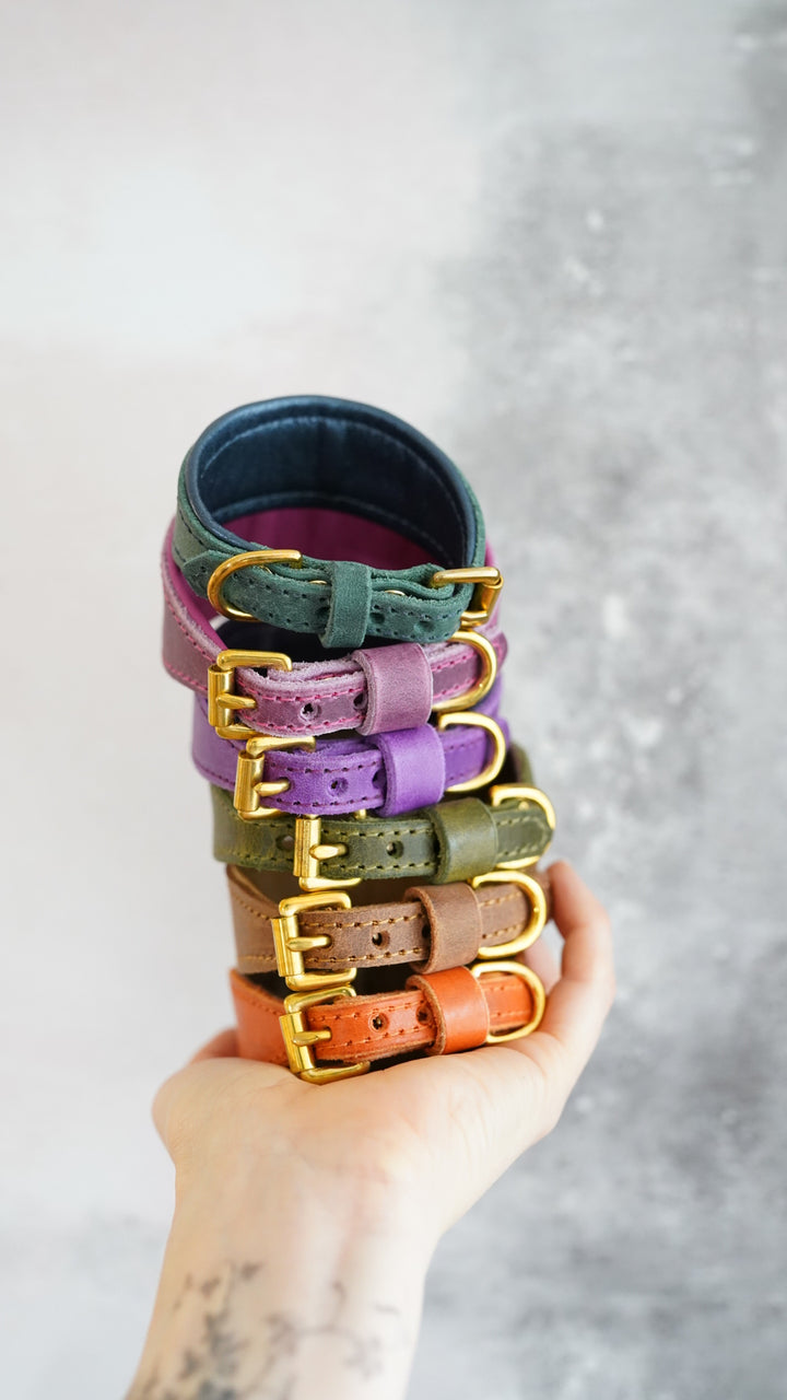 Fairytale Tapered Leather Collars