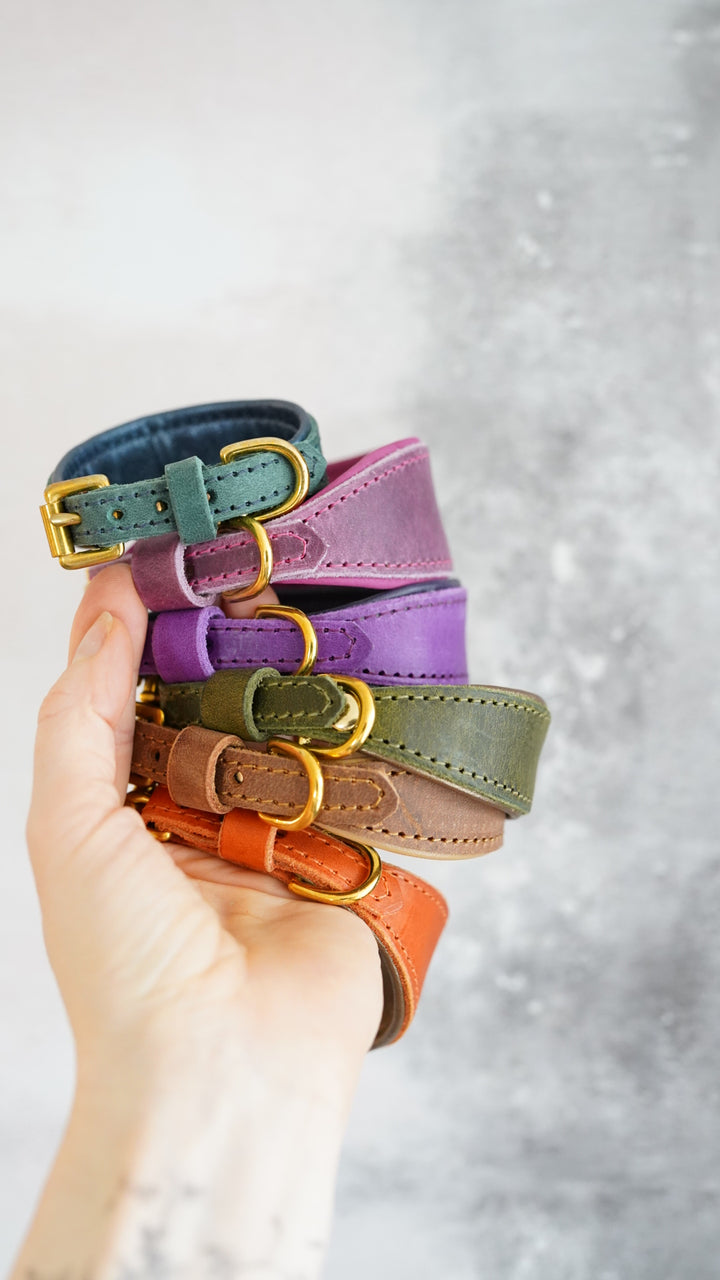Fairytale Tapered Leather Collars