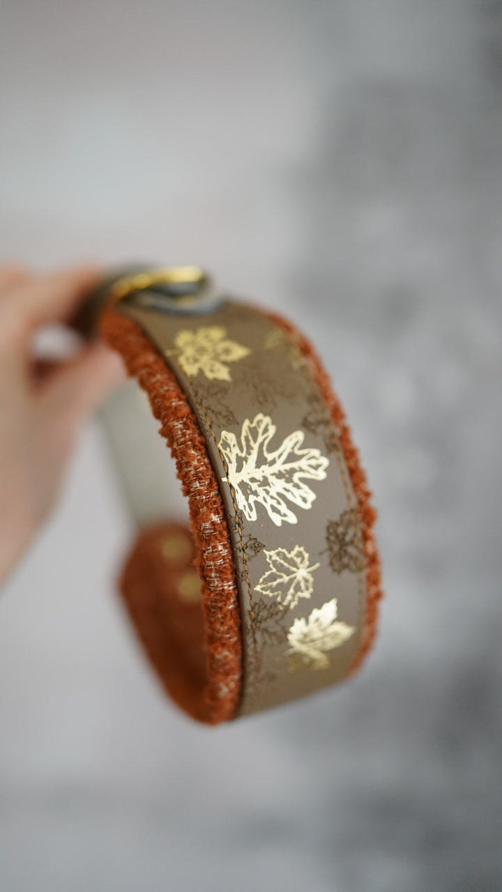 Signature Boucle Collars