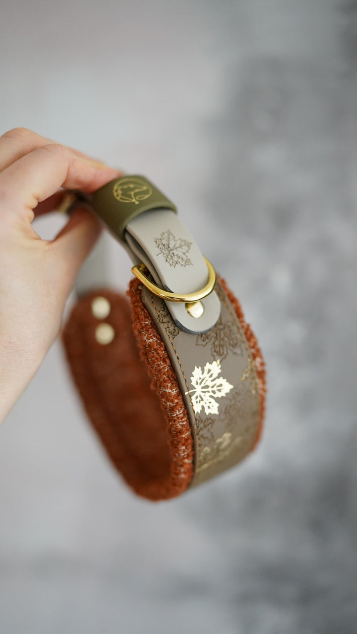 Signature Boucle Collars