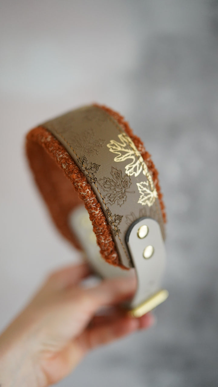 Signature Boucle Collars