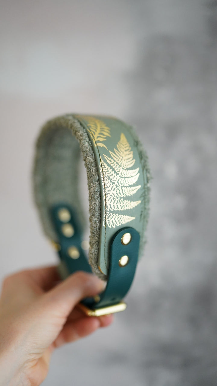 Signature Boucle Collars