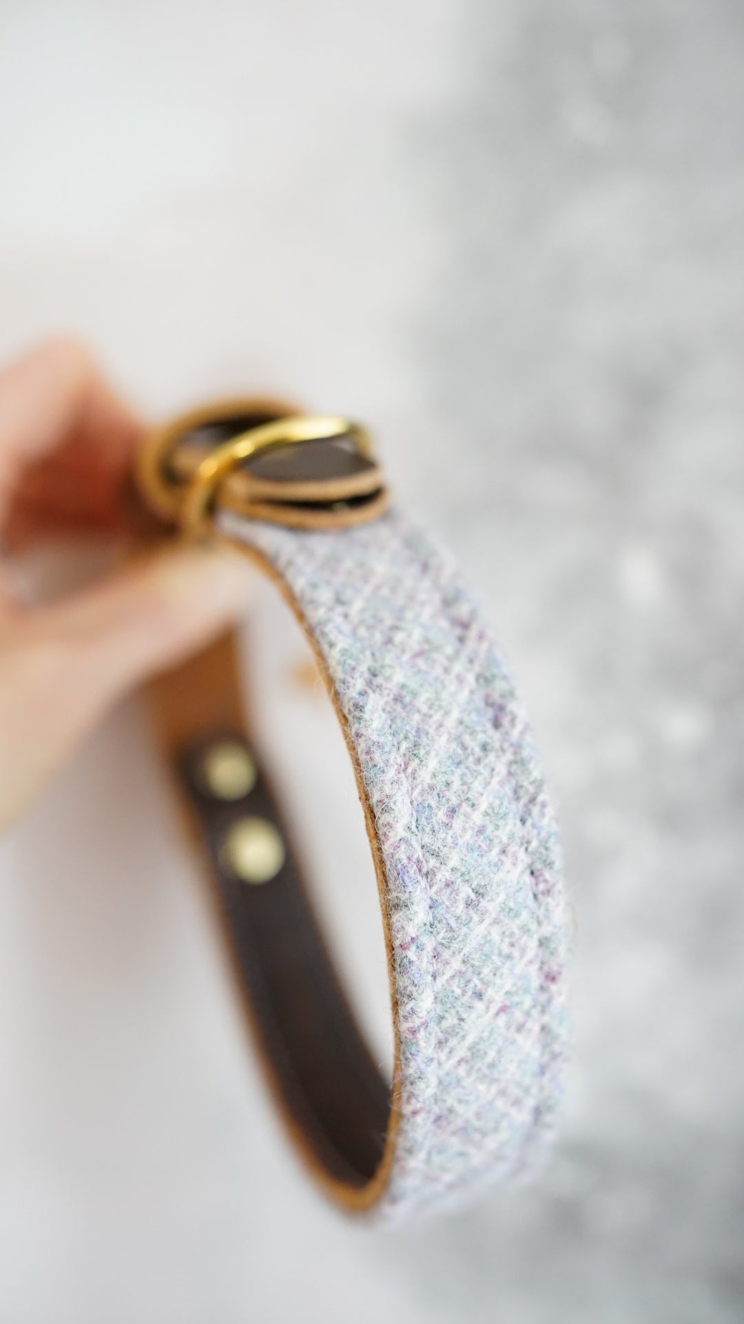 Juniper - Luxury Buckle Collar - Pure Wool Tweed