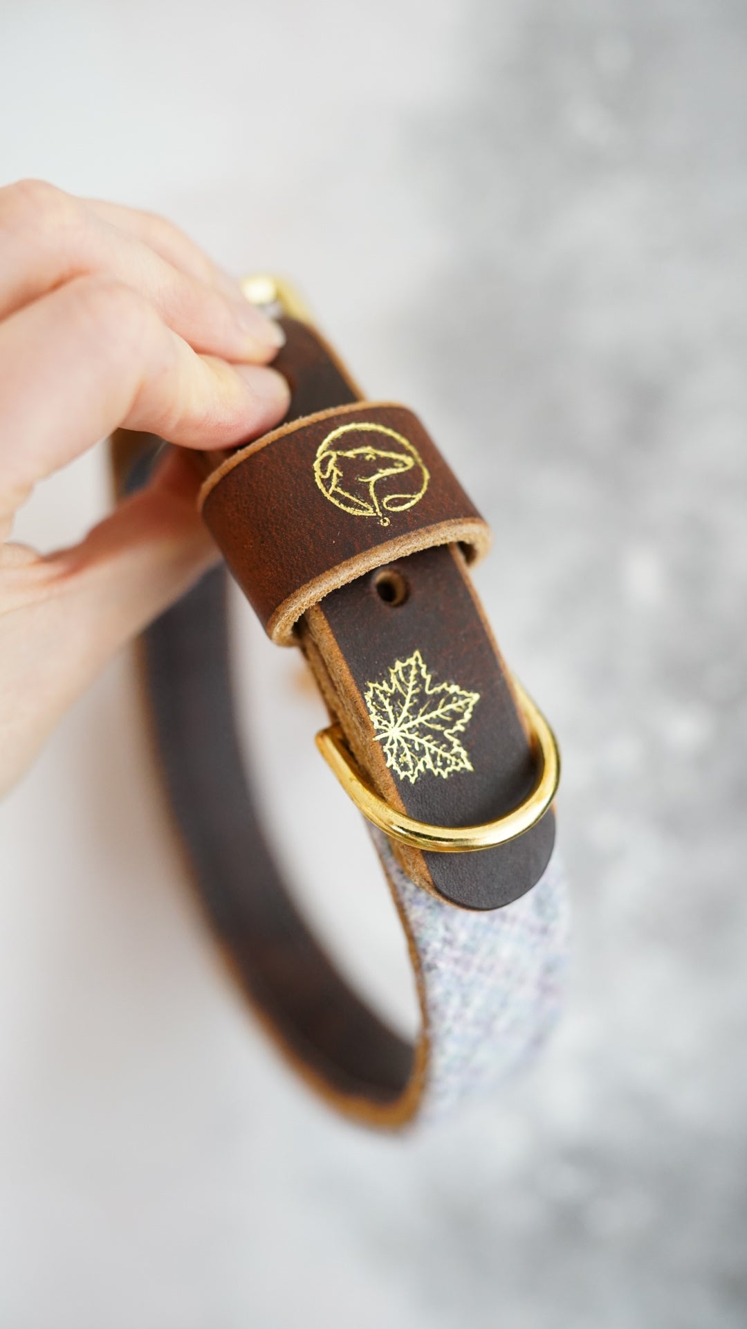 Juniper - Luxury Buckle Collar - Pure Wool Tweed