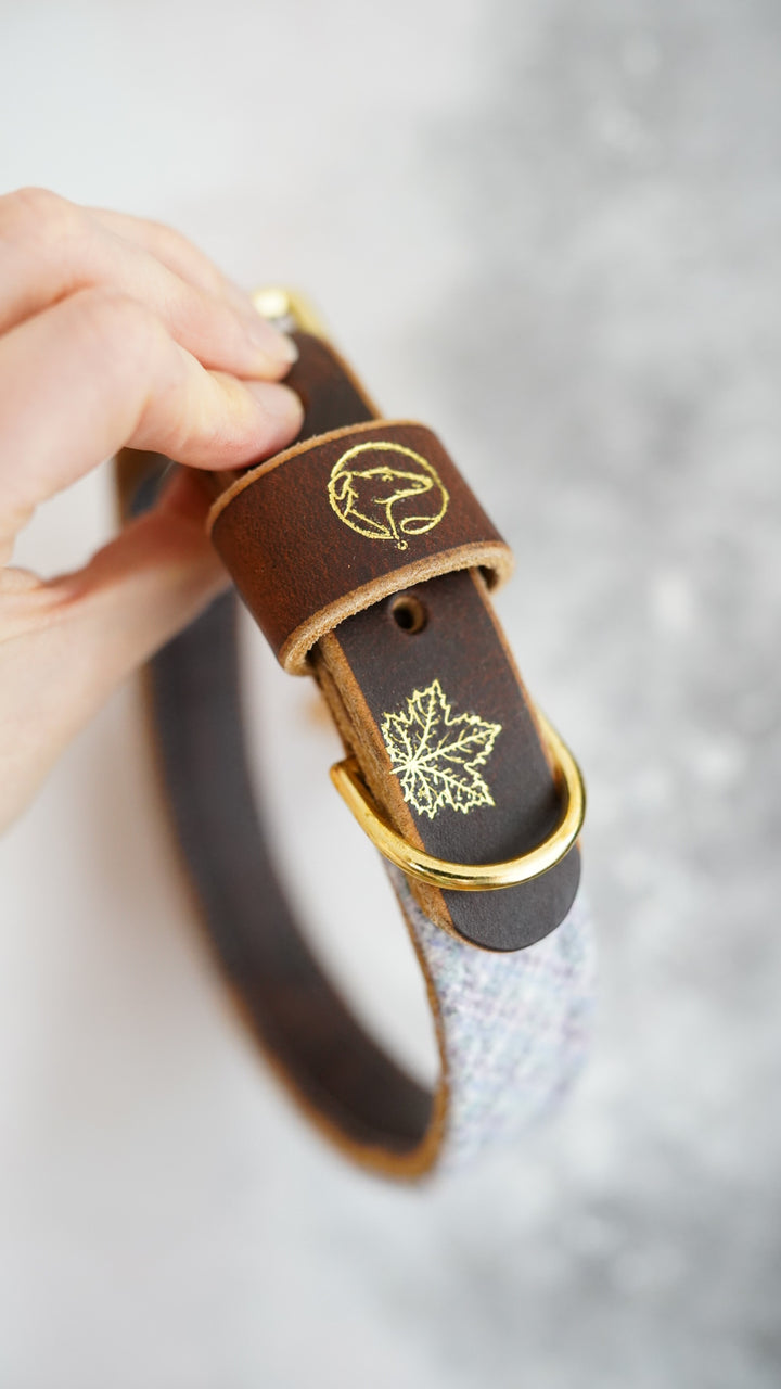 Juniper - Luxury Buckle Collar - Pure Wool Tweed