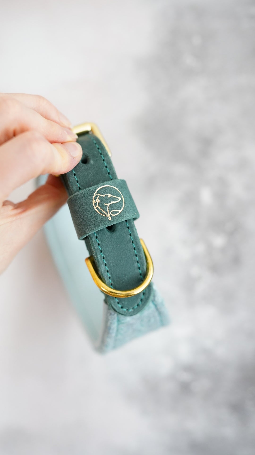 Alder - Tapered Luxe Collar - Pure Wool Tweed