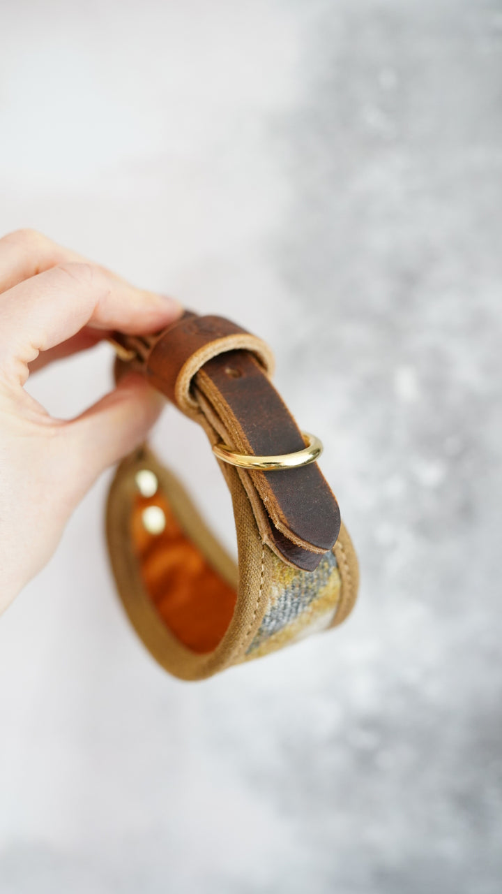 Hazel - Signature Collar - Pure Wool Tweed