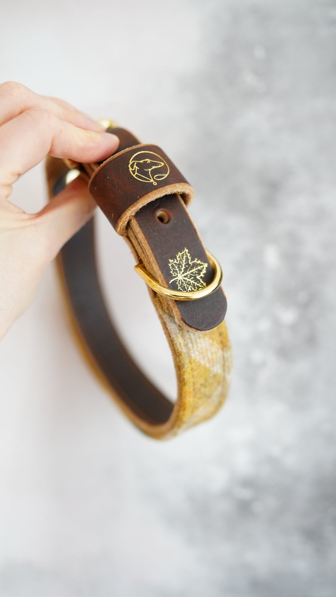 Hazel - Luxury Buckle Collar - Pure Wool Tweed