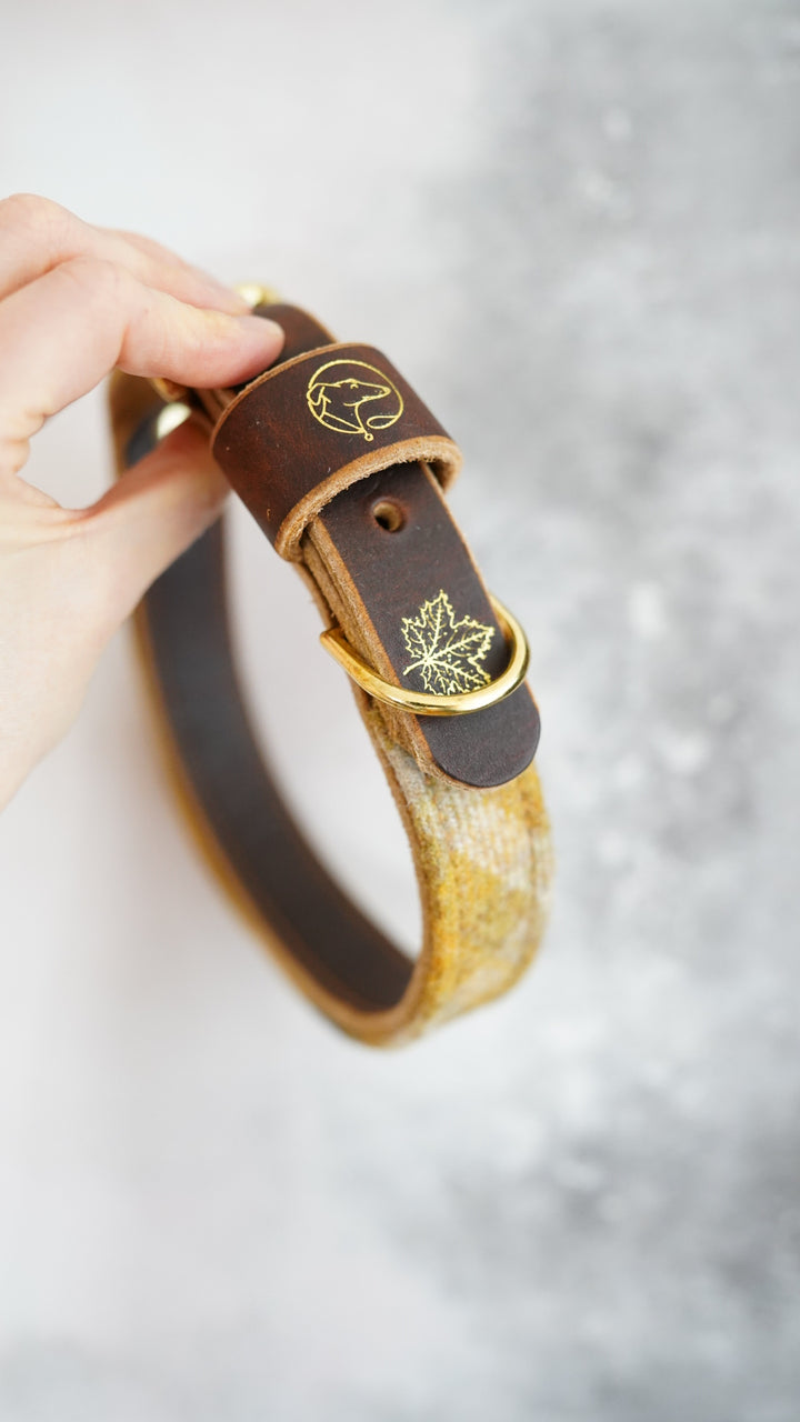 Hazel - Luxury Buckle Collar - Pure Wool Tweed