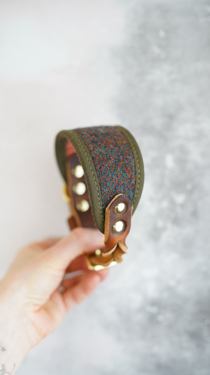 Ash - Signature Collar - Harris Tweed