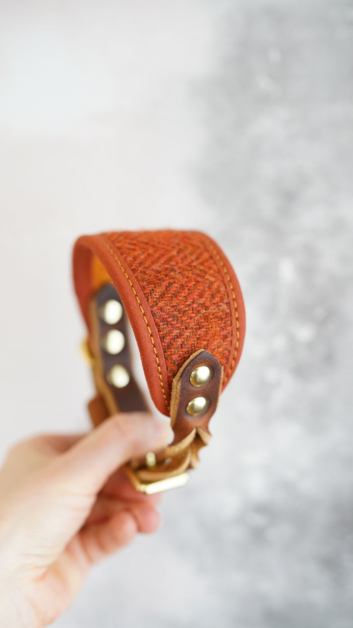 Aspen - Signature Collar - Harris Tweed