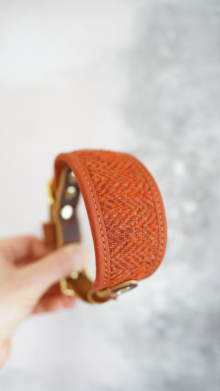 Aspen - Signature Collar - Harris Tweed
