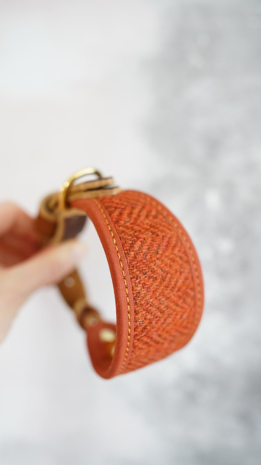 Aspen - Signature Collar - Harris Tweed