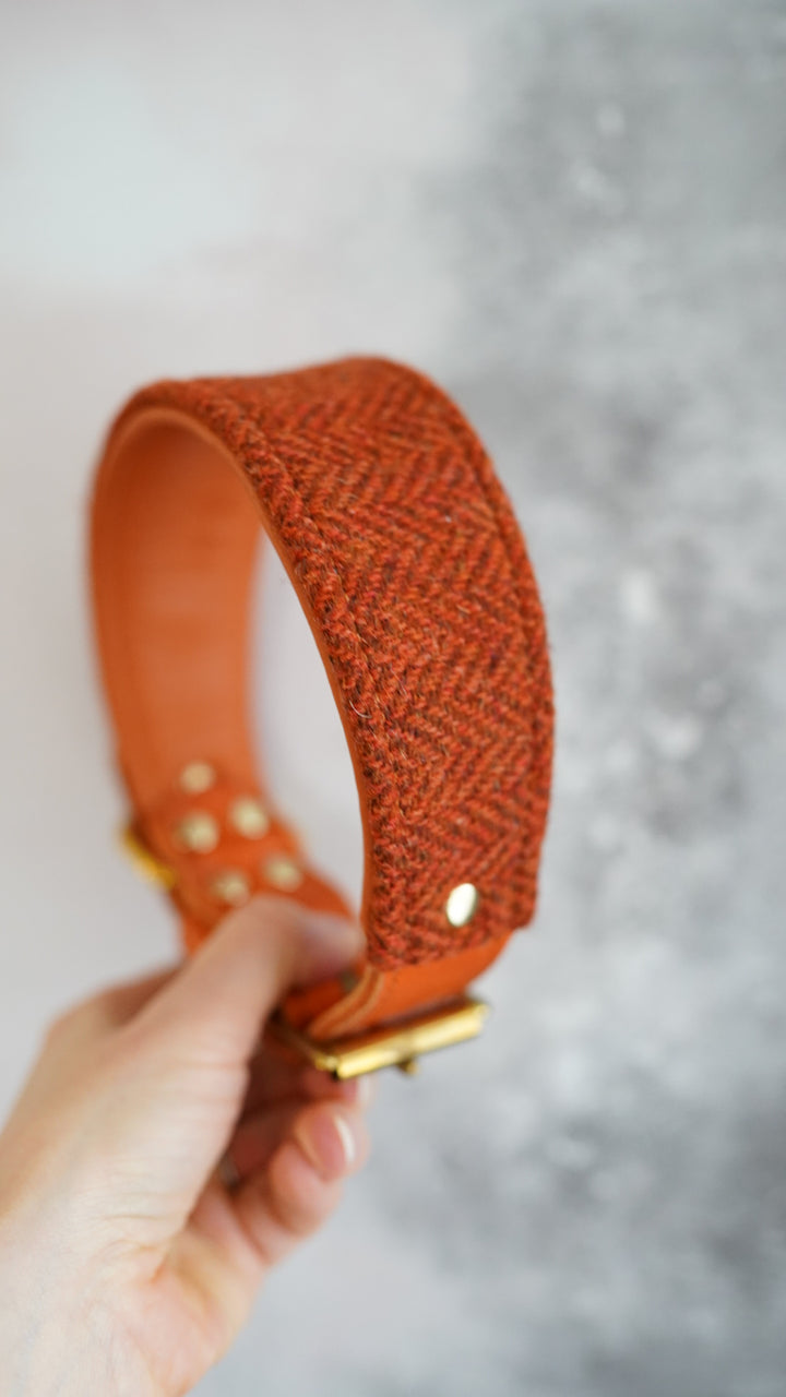 Aspen - Tapered Luxe Collar - Harris Tweed