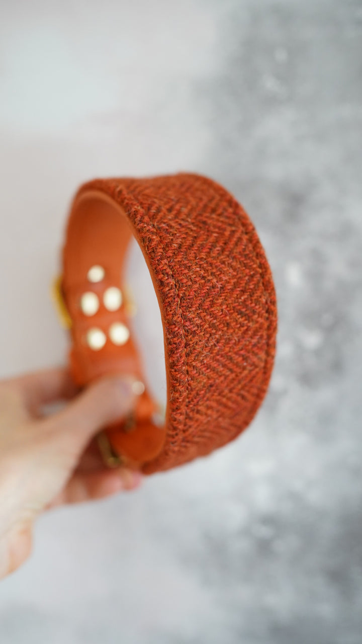 Aspen - Tapered Luxe Collar - Harris Tweed