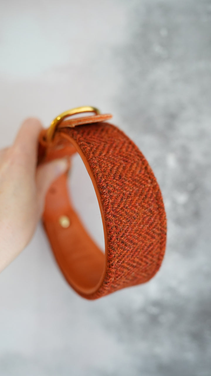 Aspen - Tapered Luxe Collar - Harris Tweed