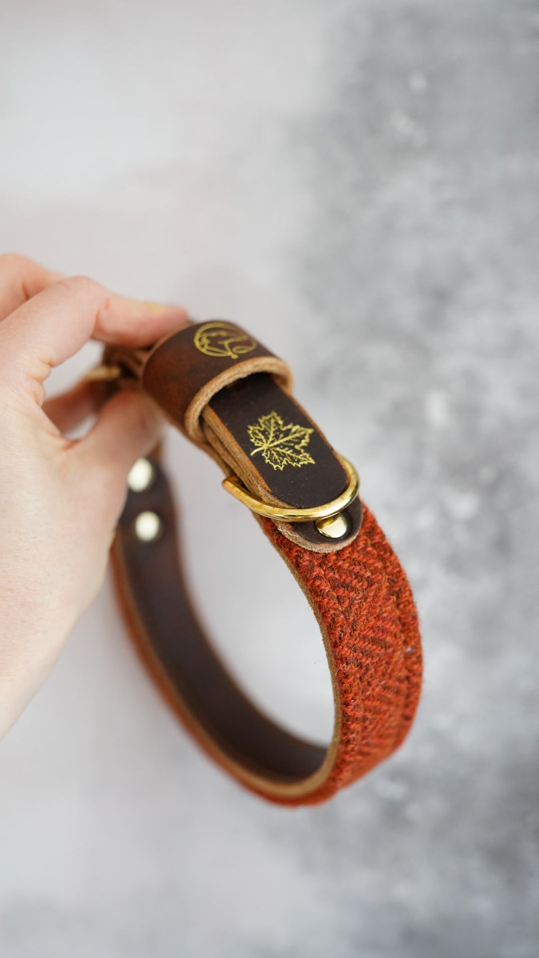 Aspen - Luxury Buckle Collar - Harris Tweed