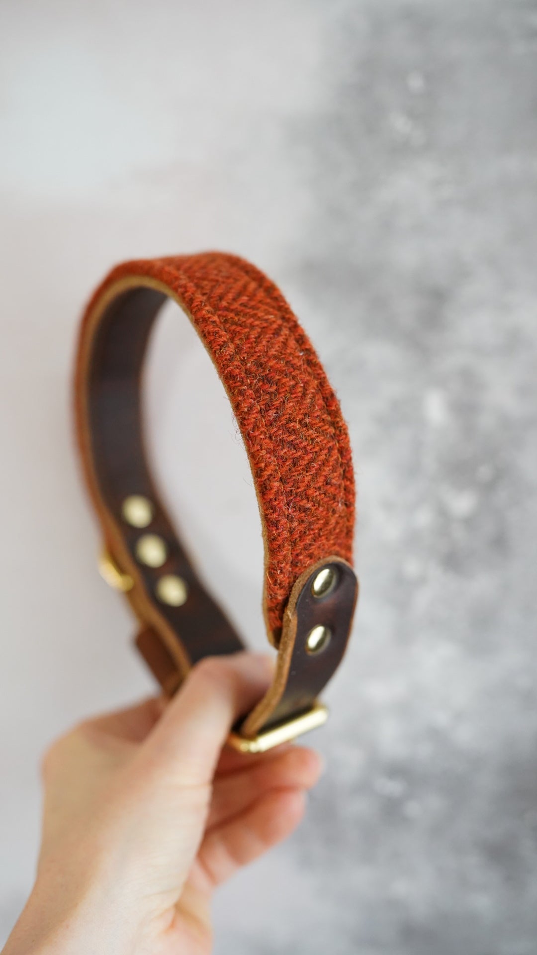 Aspen - Luxury Buckle Collar - Harris Tweed