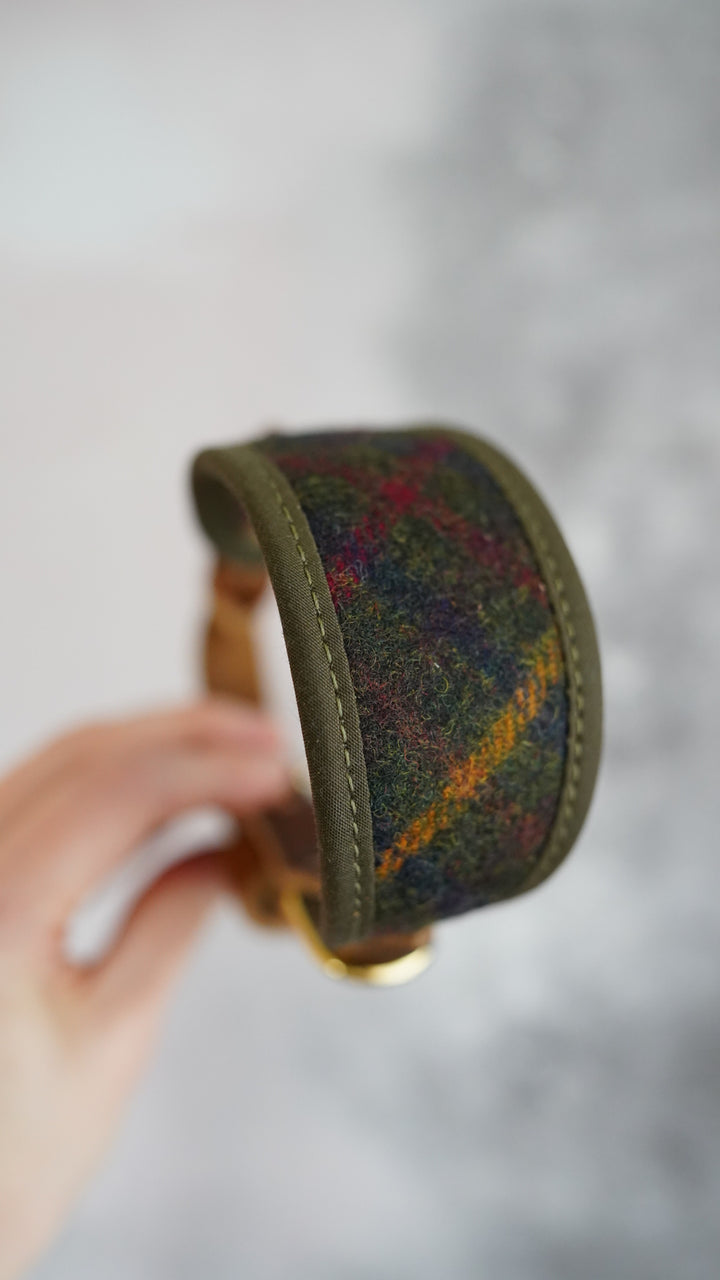 Fir - Signature Collar - Pure Wool Tweed