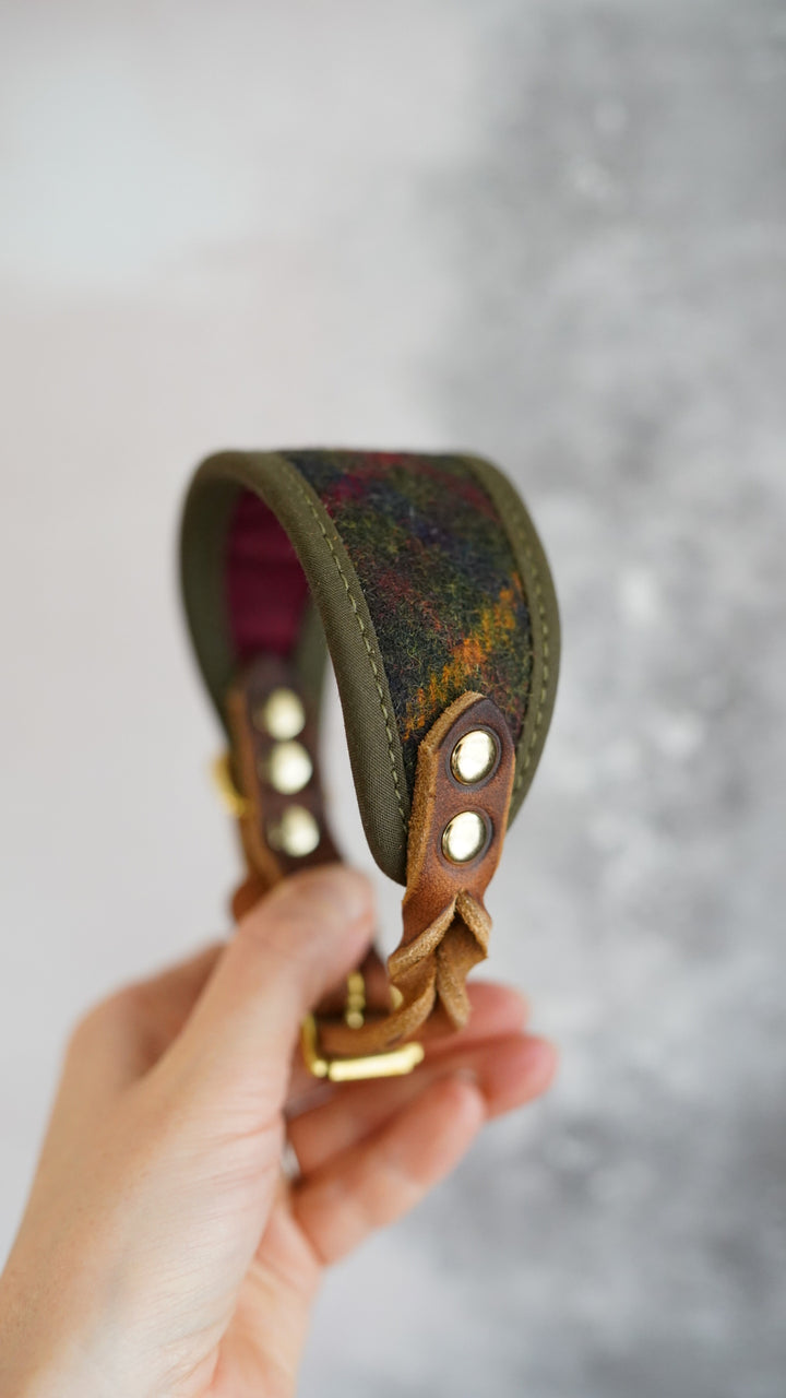 Fir - Signature Collar - Pure Wool Tweed