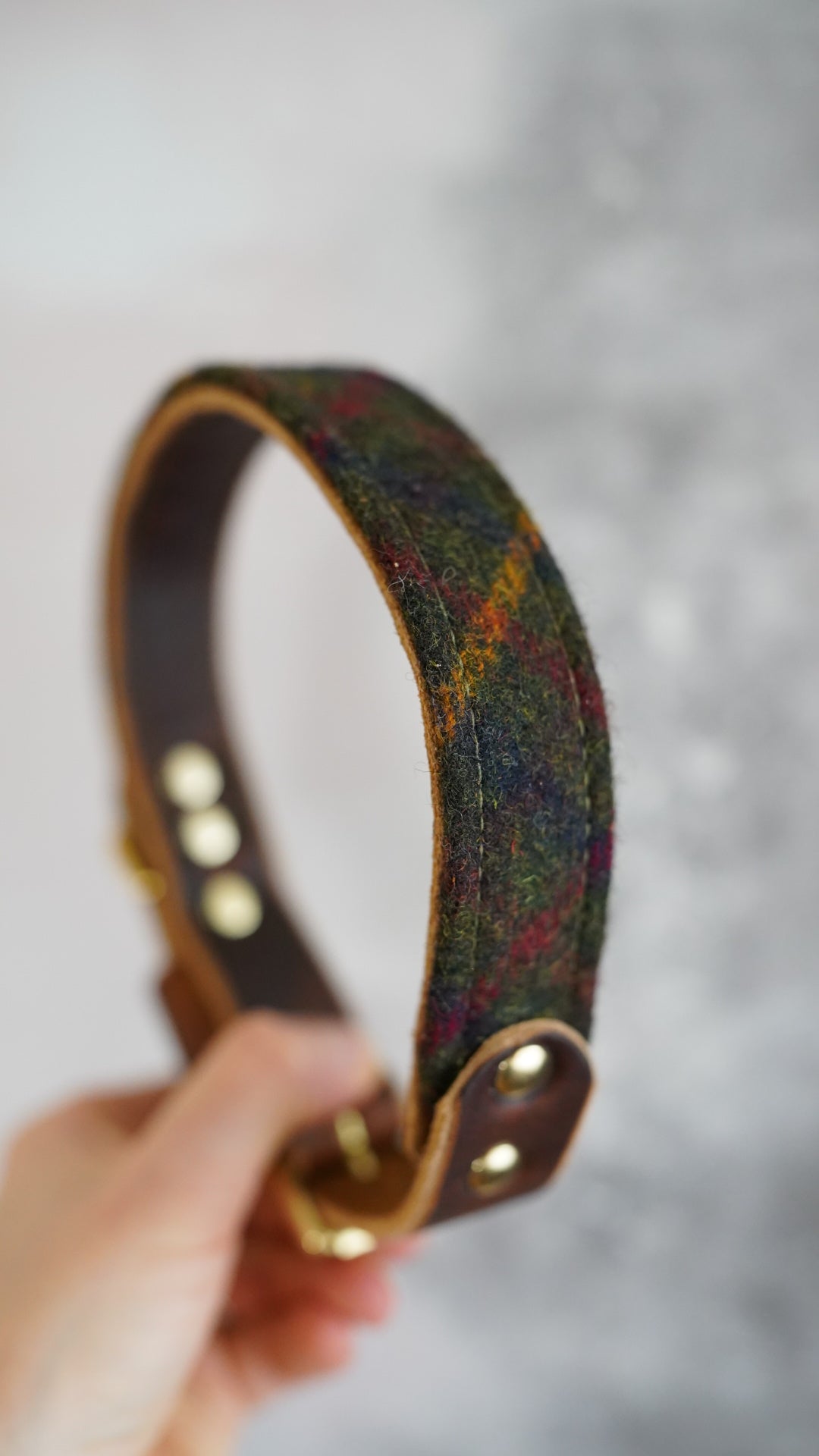 Fir - Luxury Buckle Collar - Pure Wool Tweed