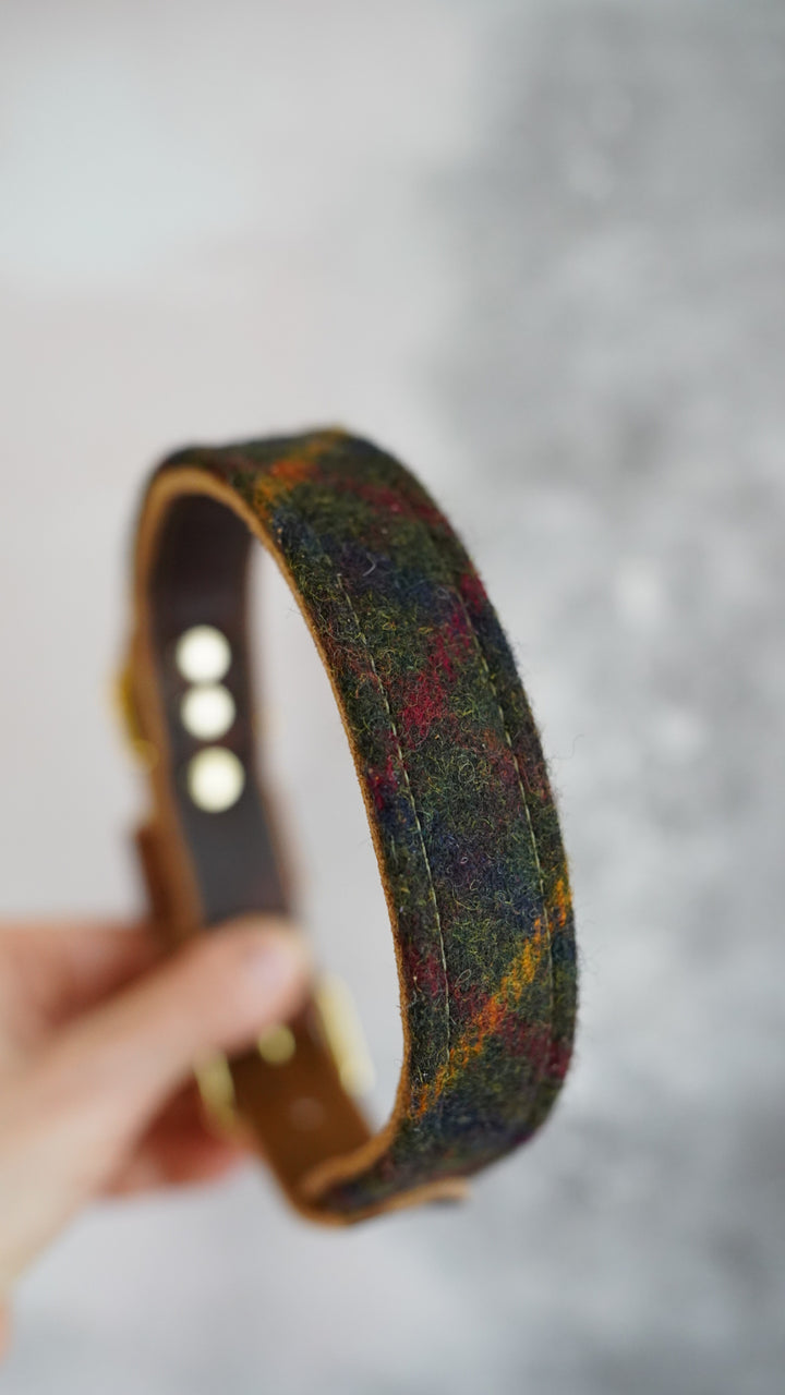 Fir - Luxury Buckle Collar - Pure Wool Tweed
