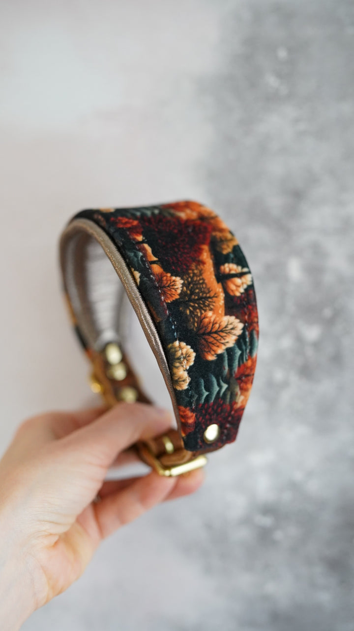 Amber - Tapered Luxe Collar - Velvet