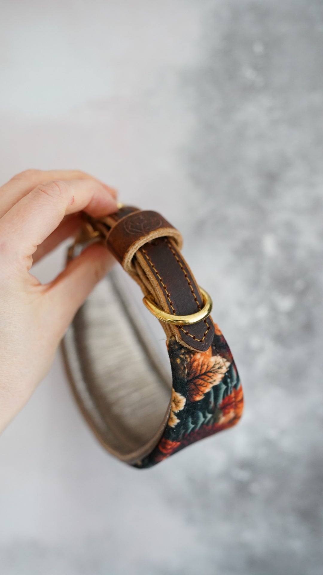 Amber - Tapered Luxe Collar - Velvet