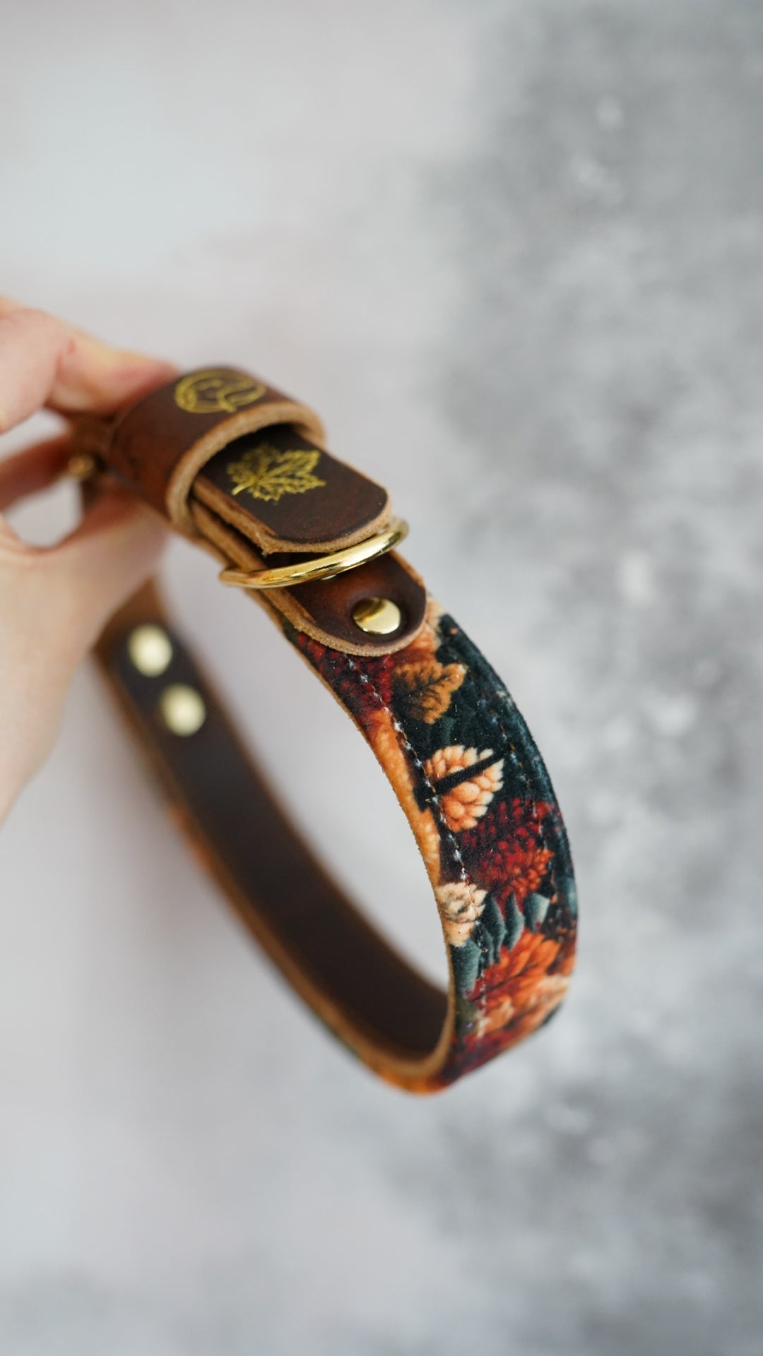Amber - Luxury Buckle Collar - Velvet