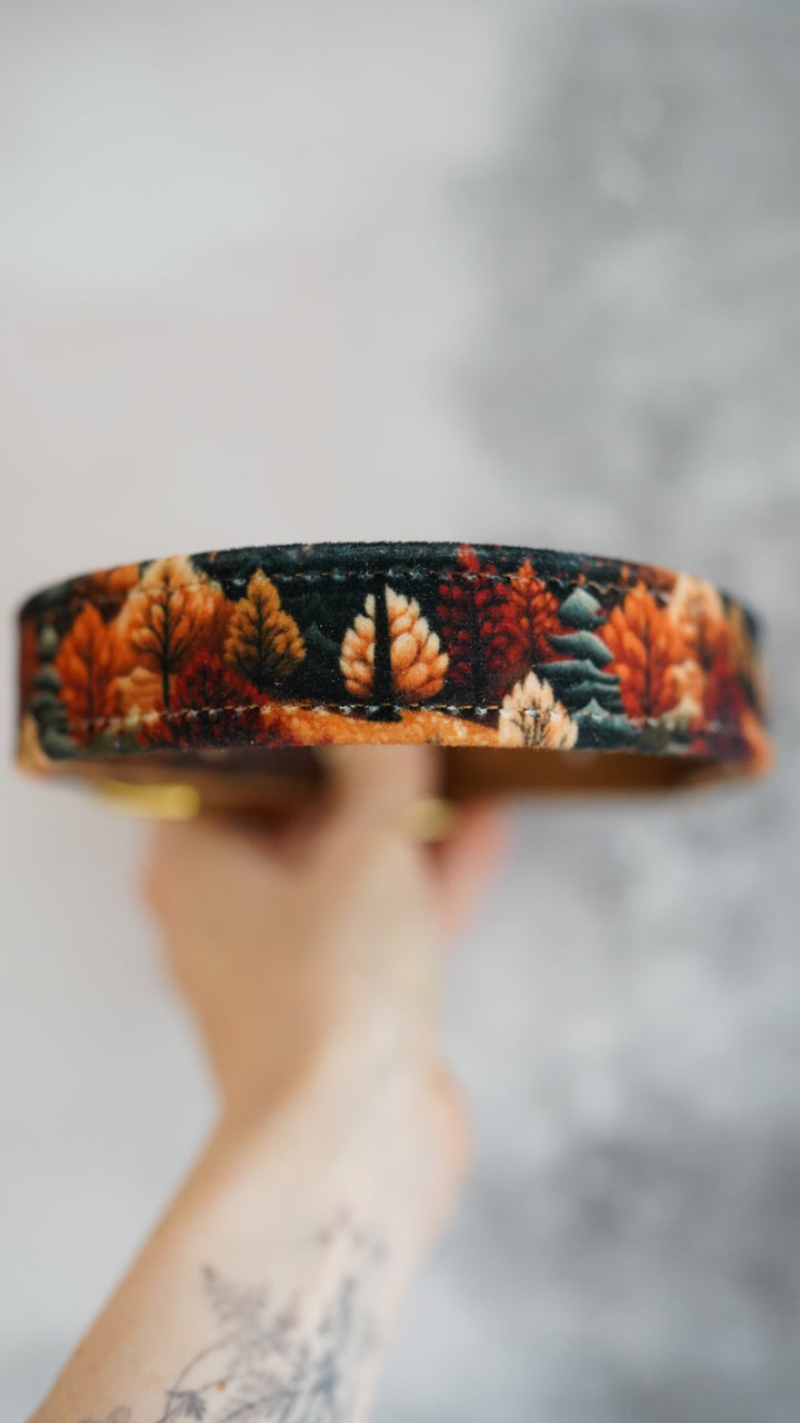 Amber - Luxury Buckle Collar - Velvet