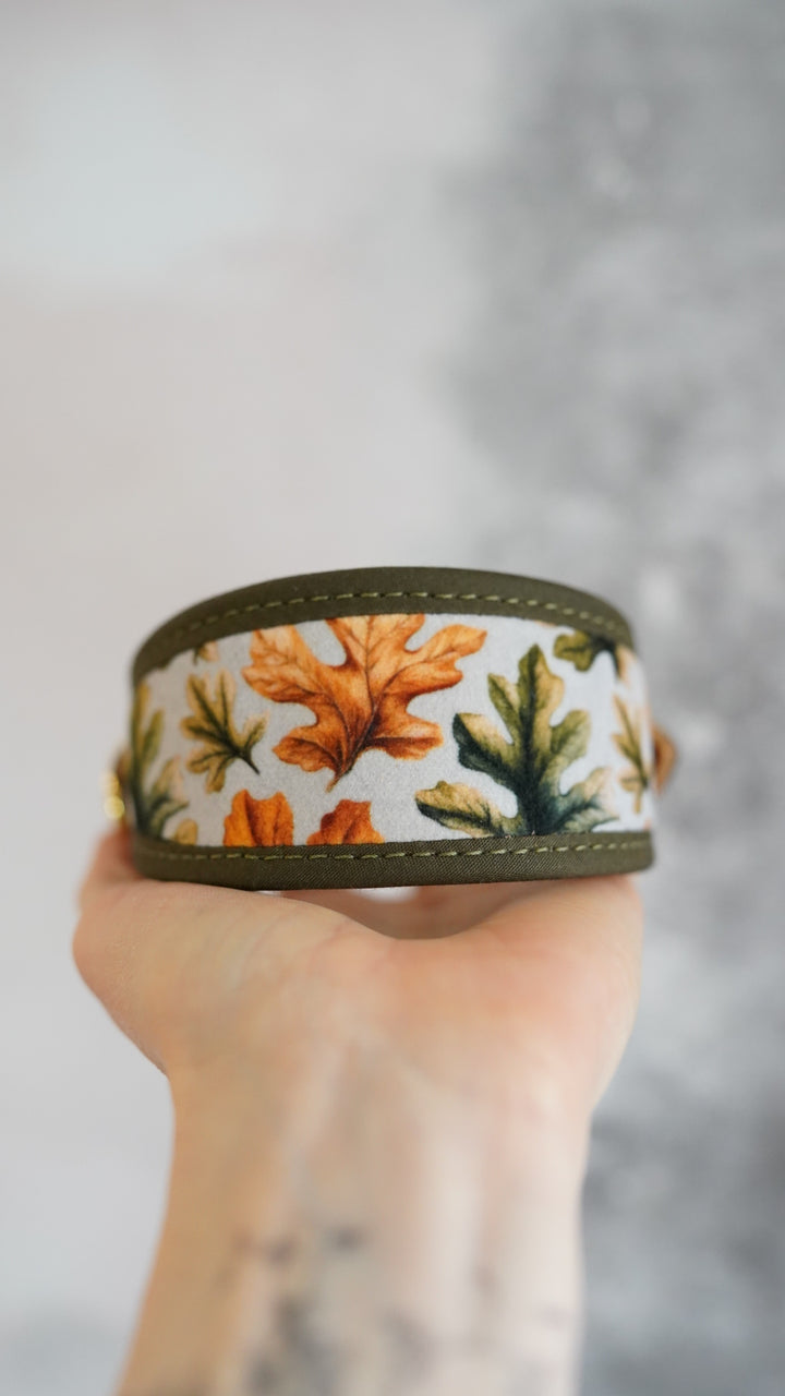 Oak - Signature Collar - Velvet