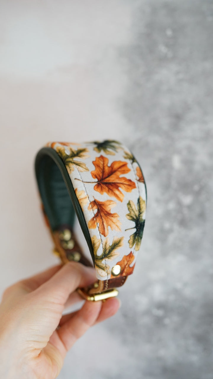 Oak - Tapered Luxe Collar - Velvet