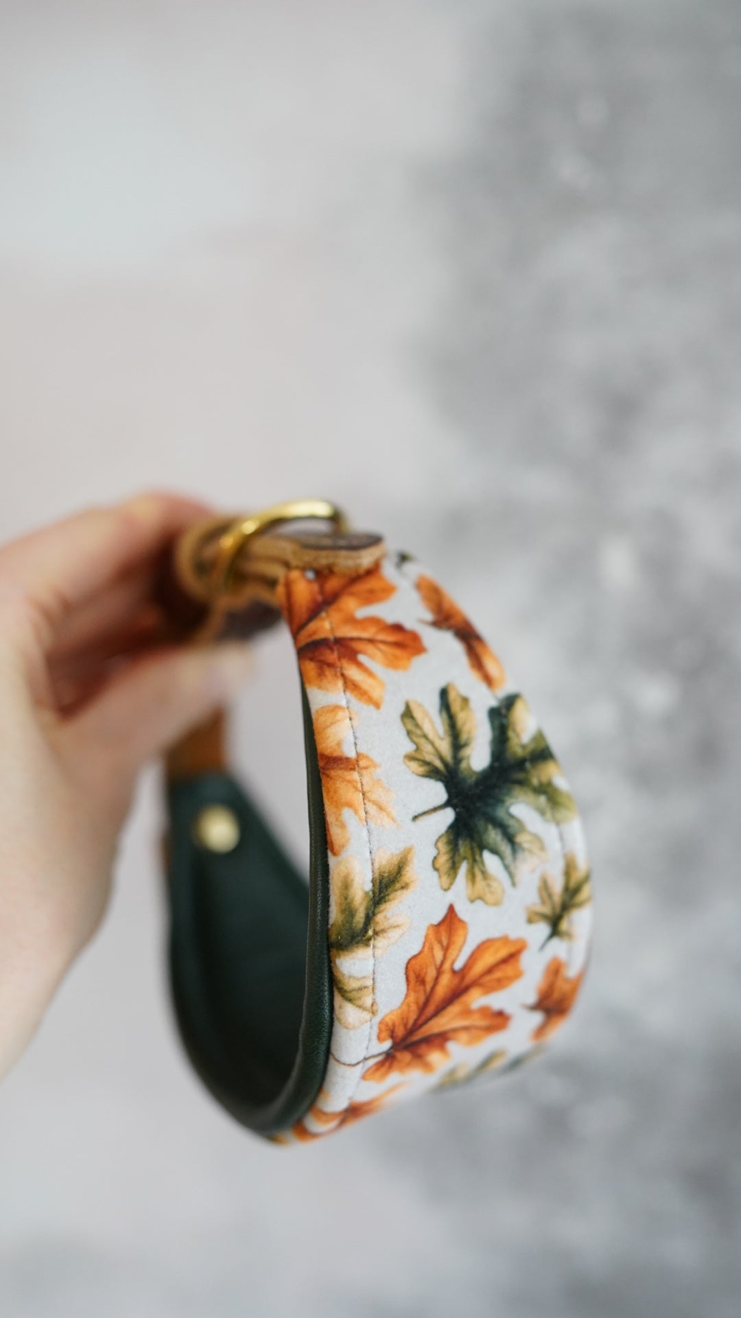 Oak - Tapered Luxe Collar - Velvet