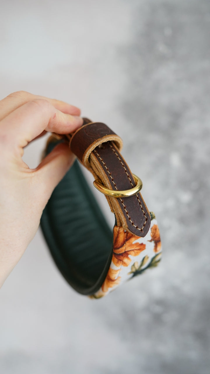 Oak - Tapered Luxe Collar - Velvet
