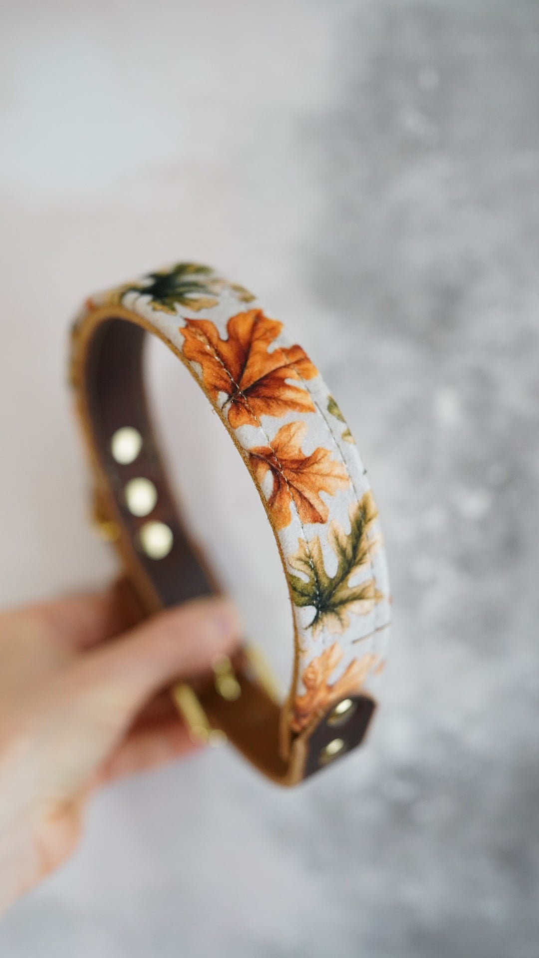 Oak - Luxury Buckle Collar - Velvet