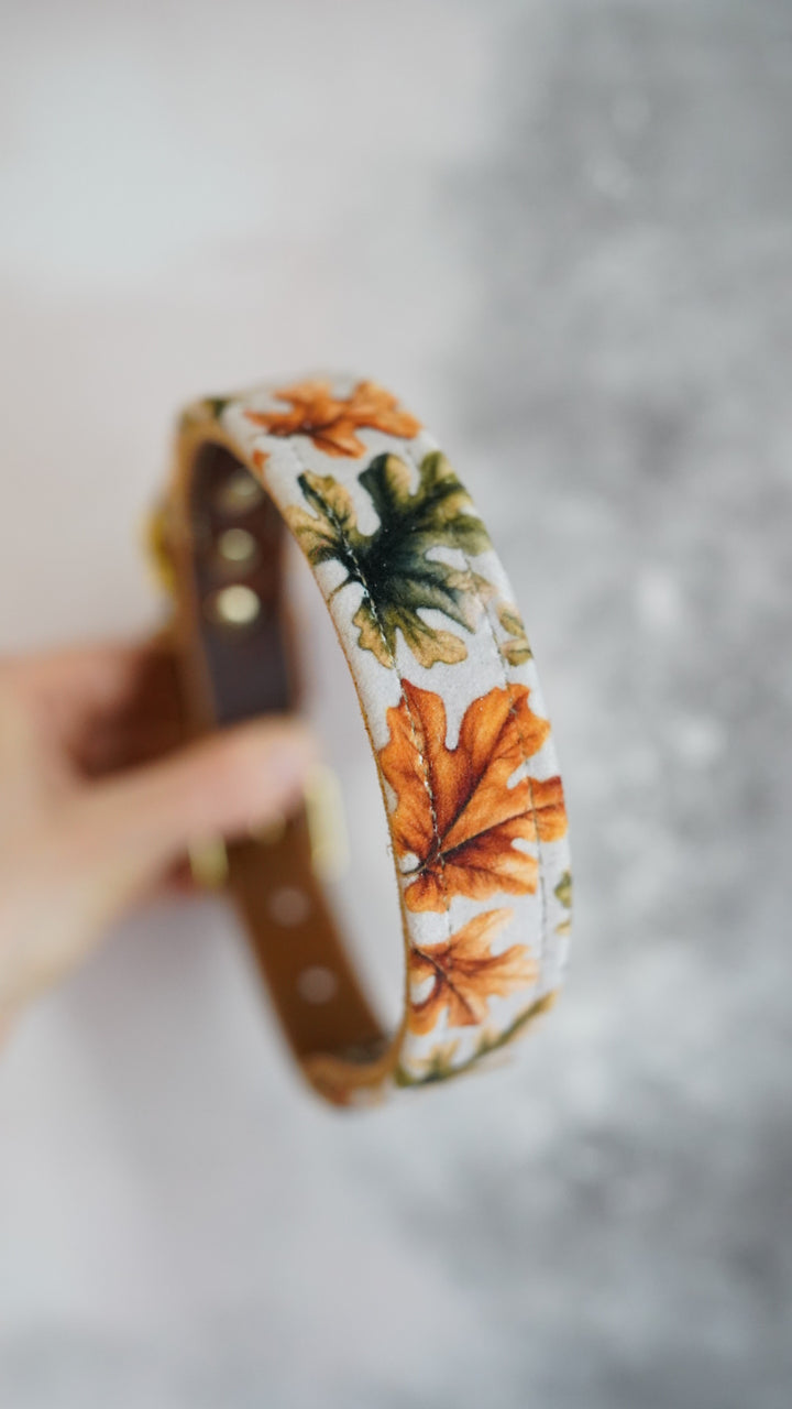 Oak - Luxury Buckle Collar - Velvet