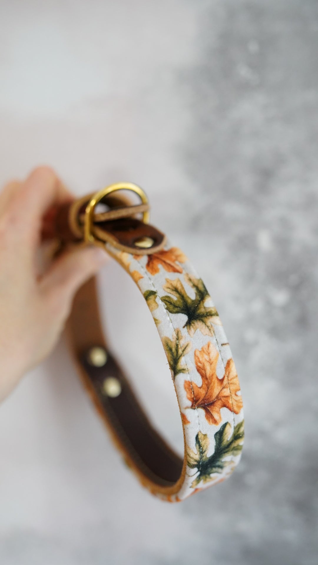 Oak - Luxury Buckle Collar - Velvet