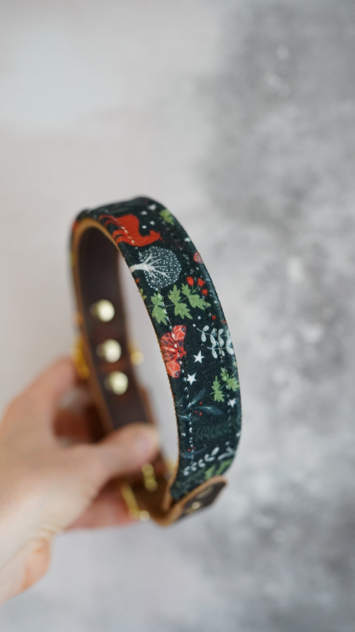 Midnight Forest - Luxury Buckle Collar - Velvet