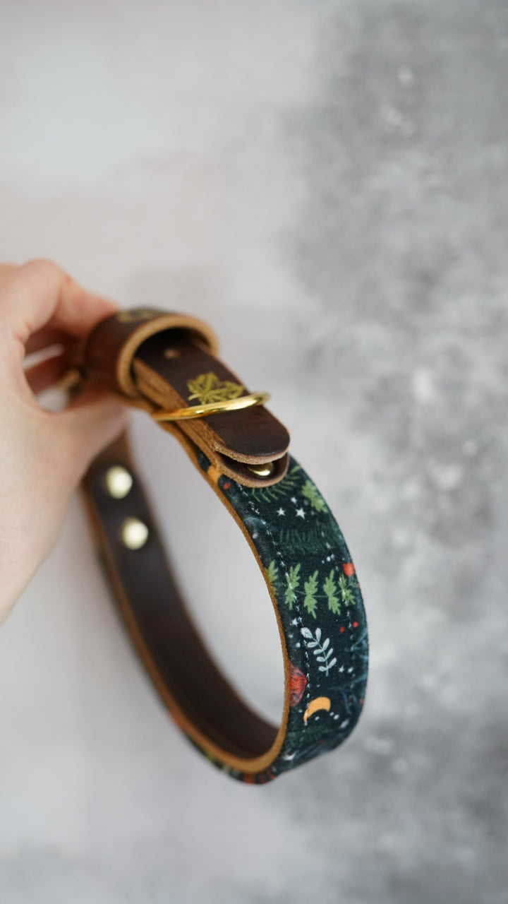 Midnight Forest - Luxury Buckle Collar - Velvet
