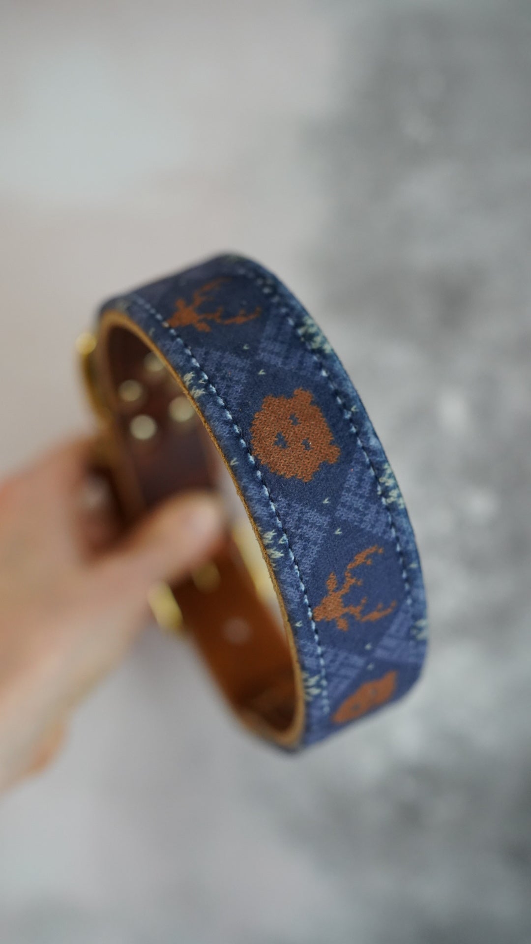 Cosy Club - Luxury Buckle Collar - Velvet