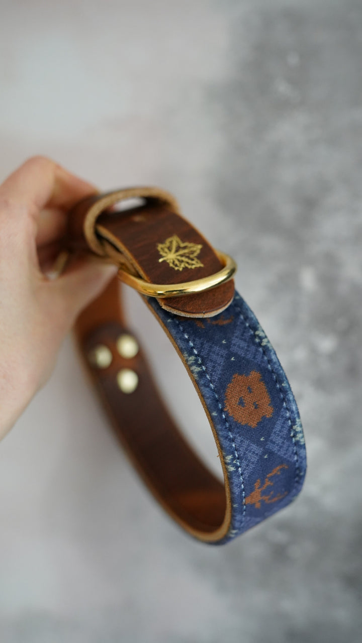 Cosy Club - Luxury Buckle Collar - Velvet