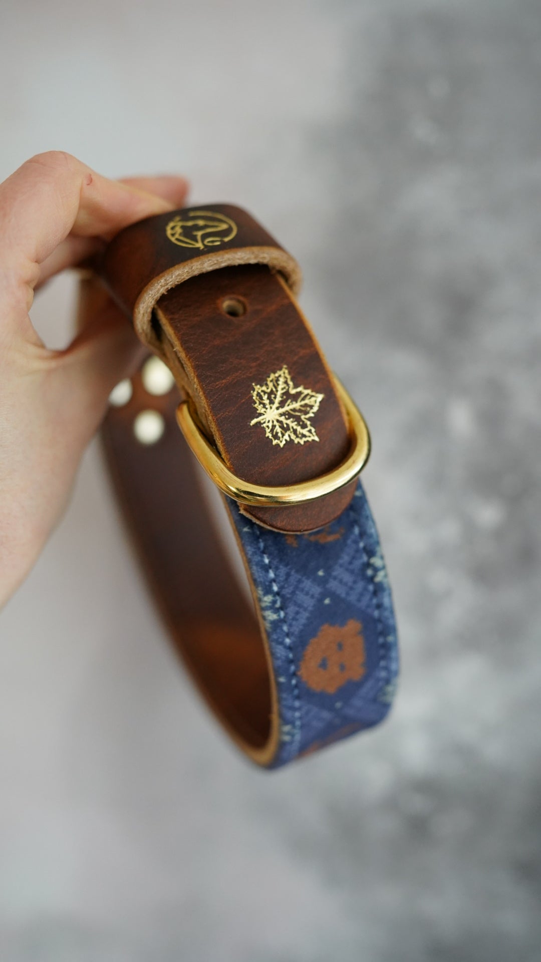 Cosy Club - Luxury Buckle Collar - Velvet