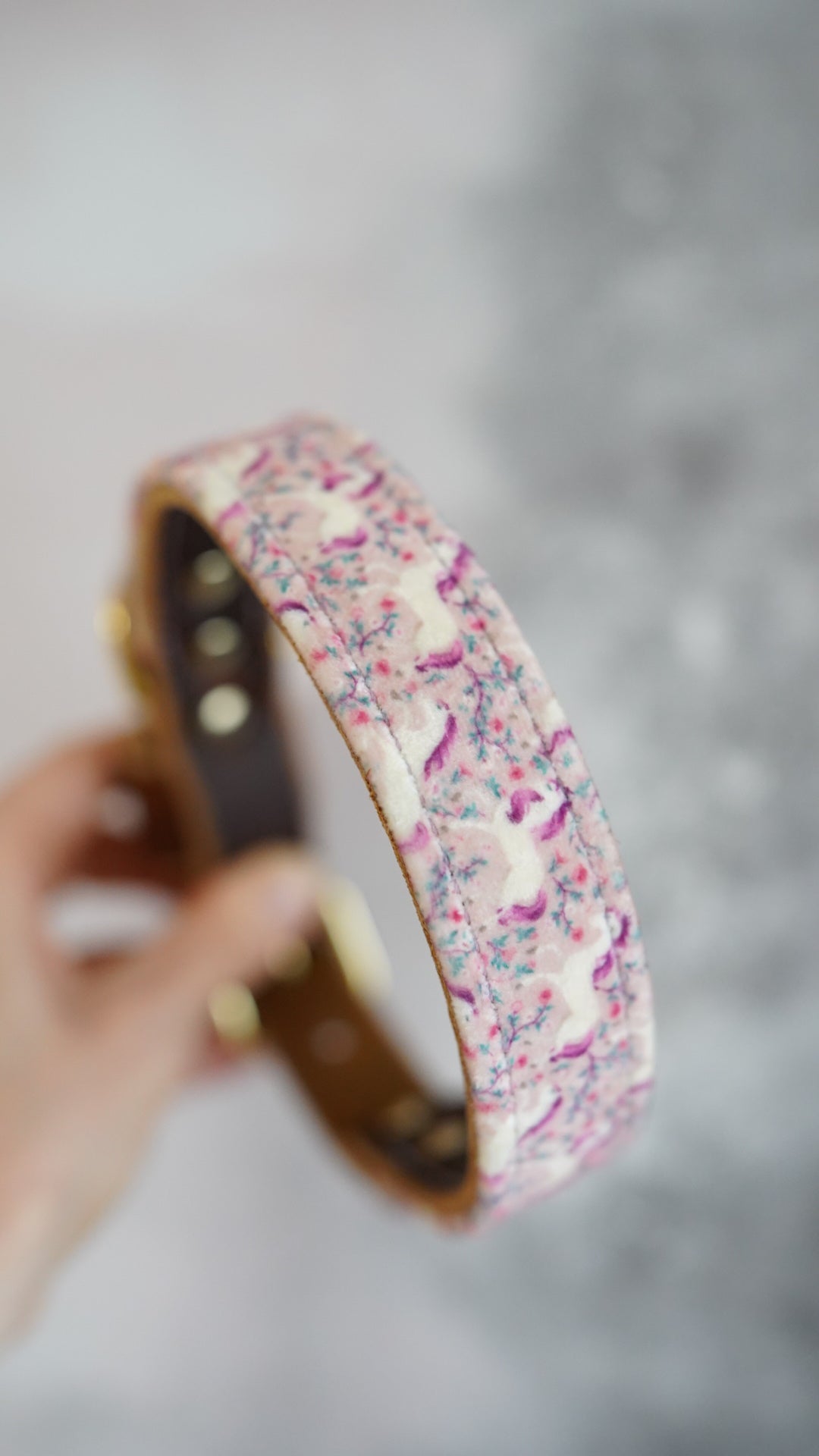 Untamed - Luxury Buckle Collar - Velvet