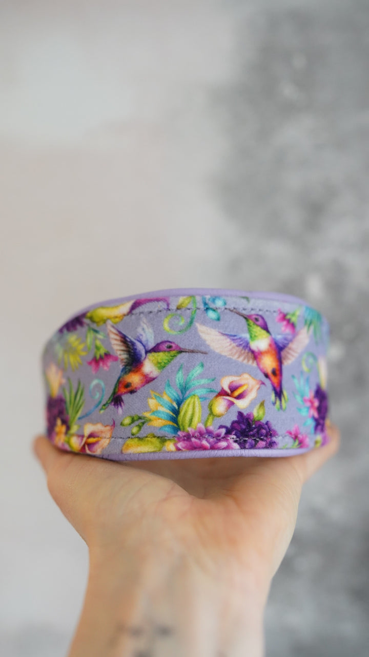 Nectar - Tapered Luxe Collar - Velvet