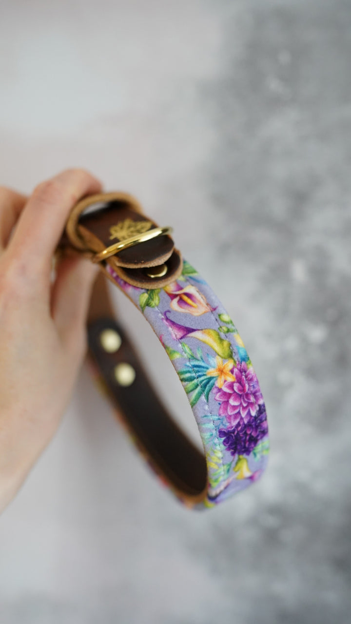 Nectar - Luxury Buckle Collar - Velvet