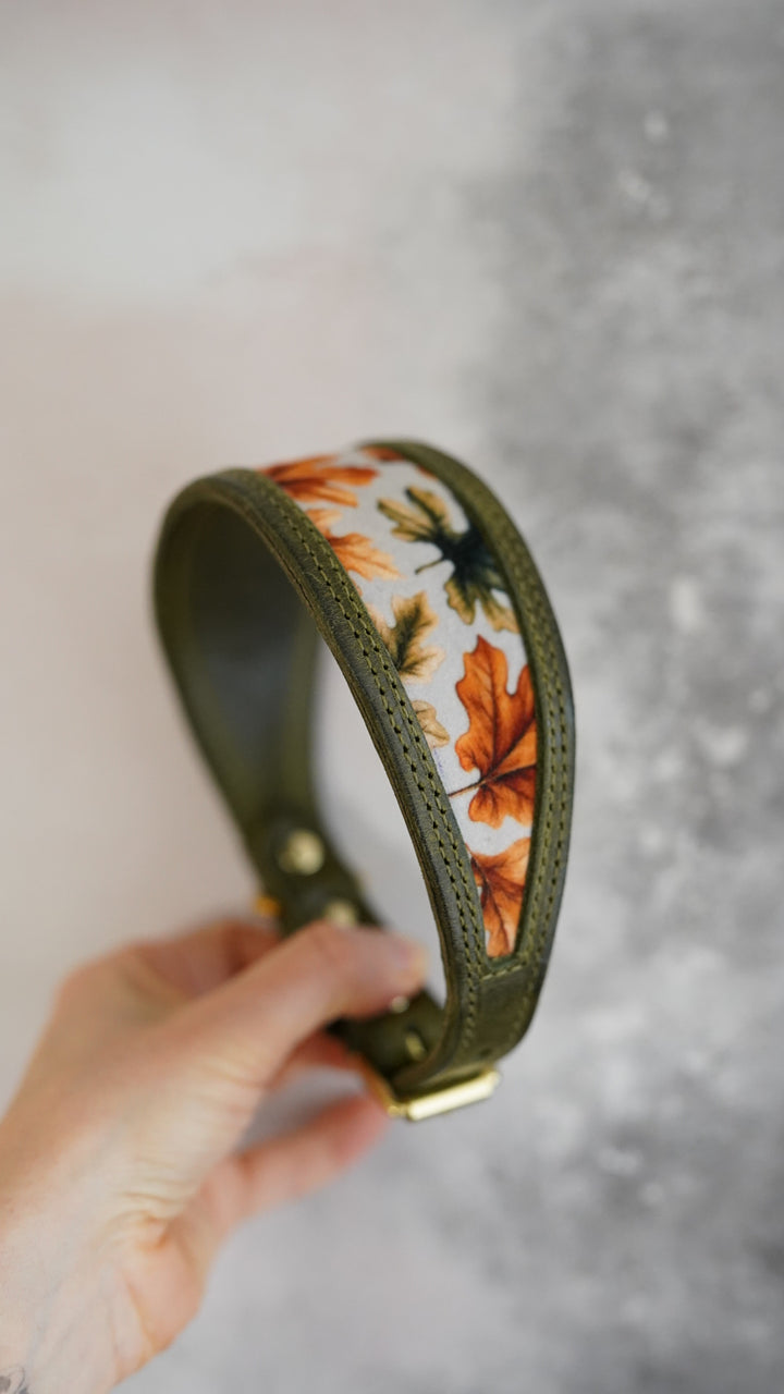 Cutout Tapered Luxe Collars