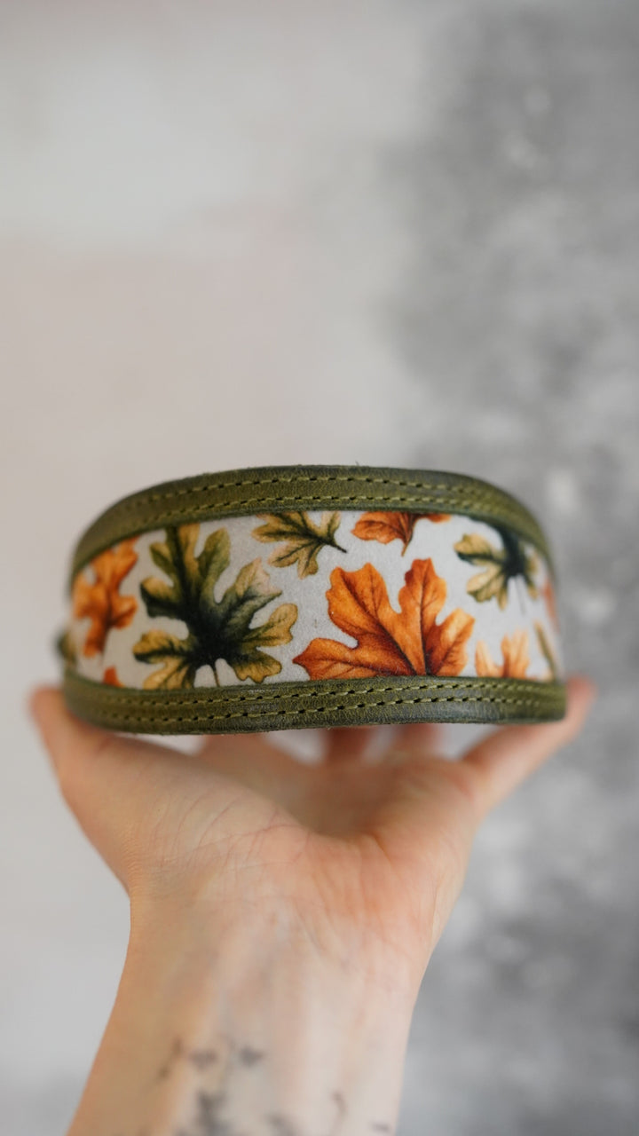 Cutout Tapered Luxe Collars