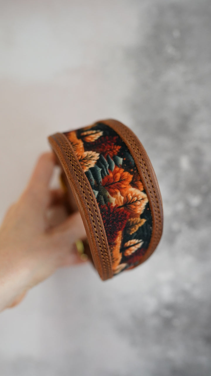 Cutout Tapered Luxe Collars