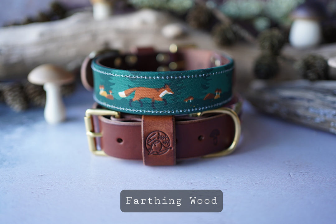Farthing Wood - Luxury Buckle Collar - Canvas