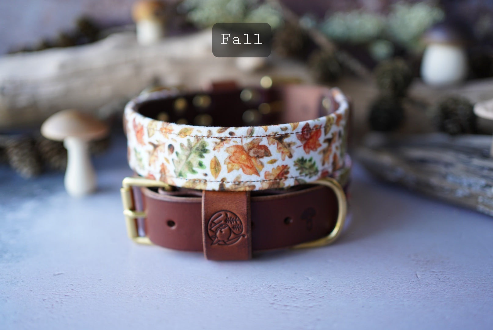 Fall - Luxury Buckle Collar - Velvet – Bramble and Friends